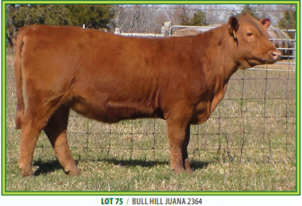 South East Red Angus Association