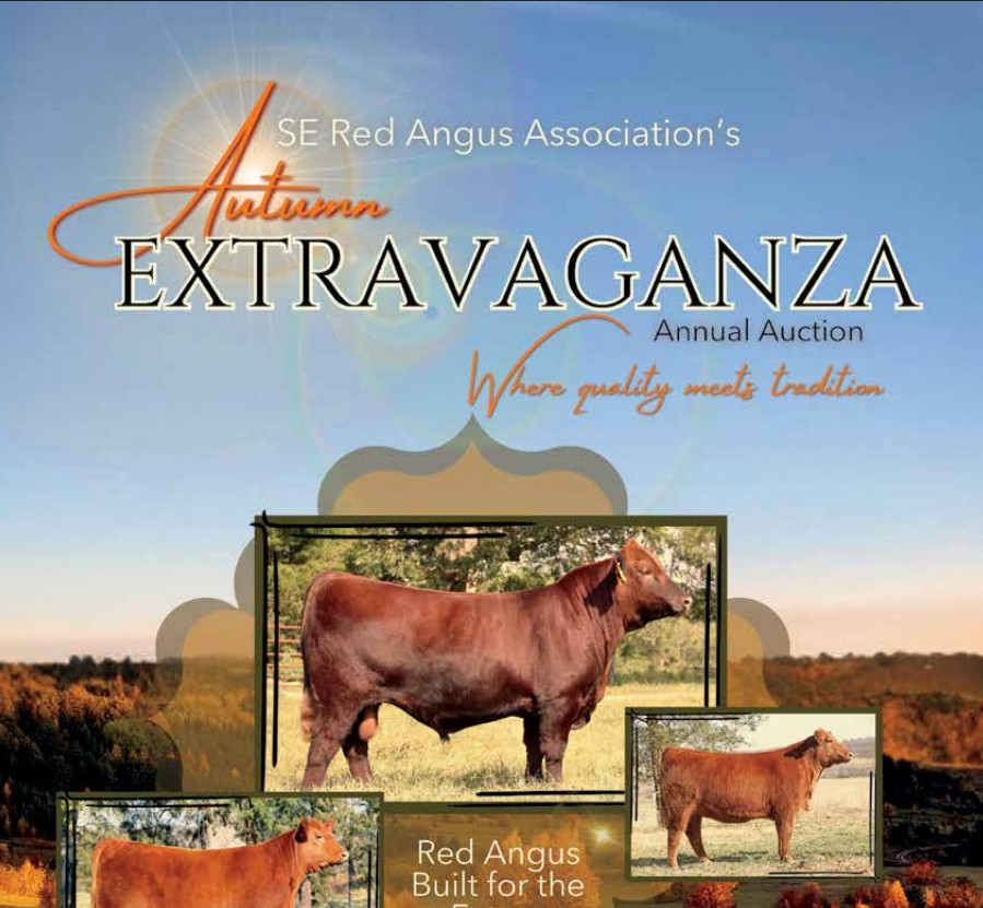 Nov 1 sale